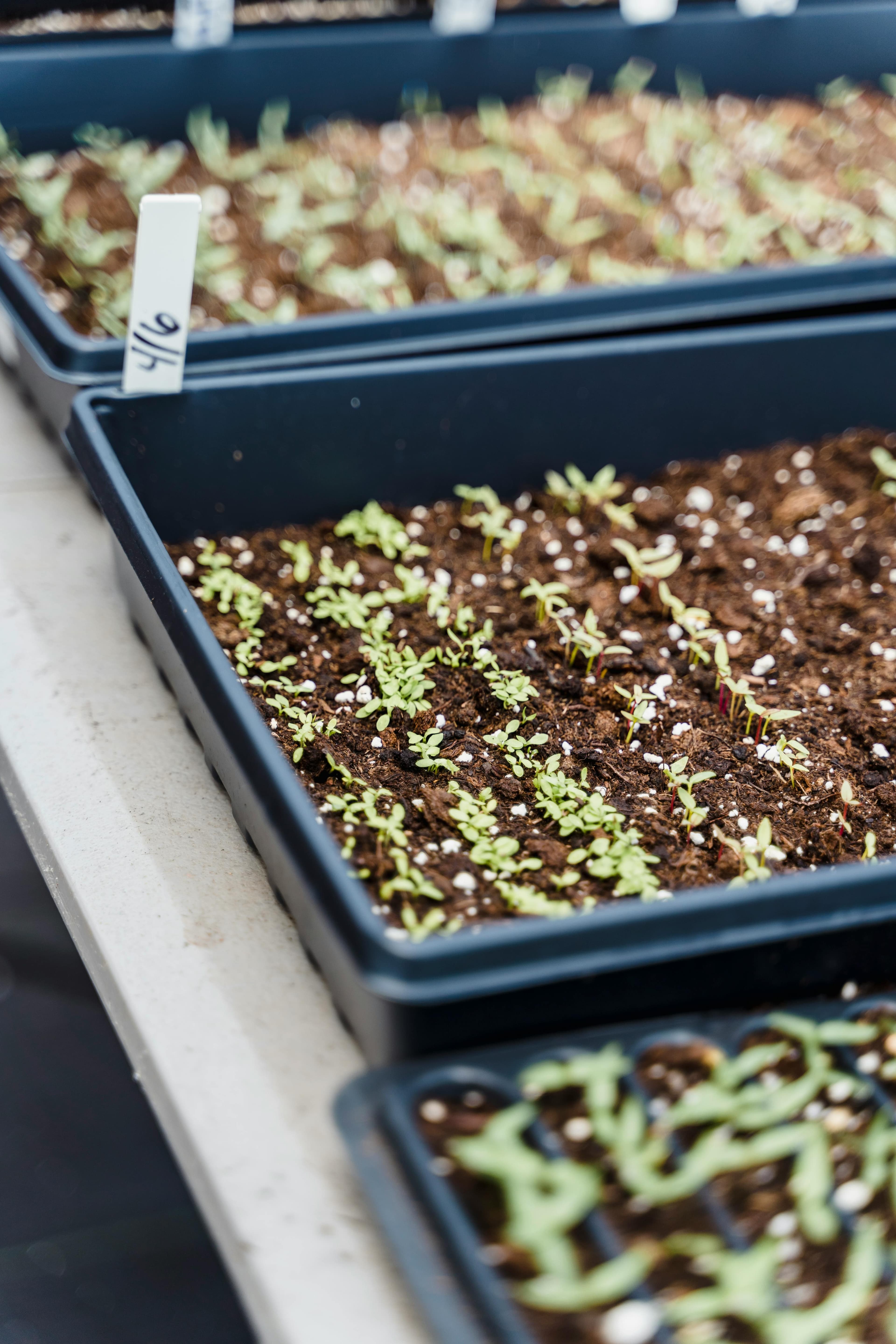 Cultivation & Controlled Growth
